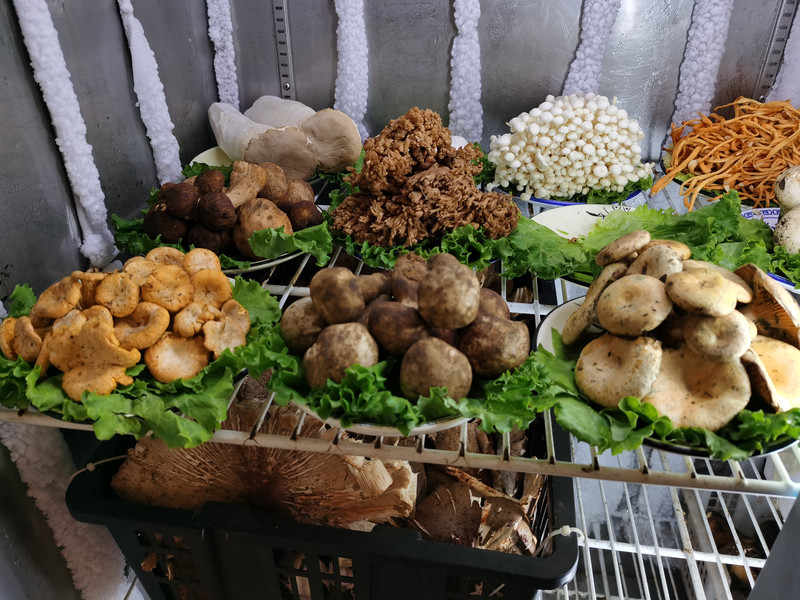 昆明旅游网