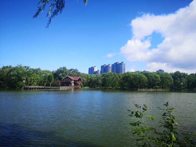 仰山公园旅行图片 1
