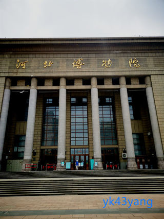 兄弟姐妹初夏行——河北博物院游记