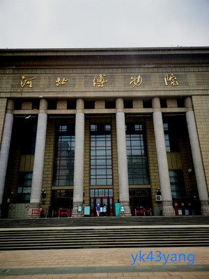 兄弟姐妹初夏行——河北博物院游记