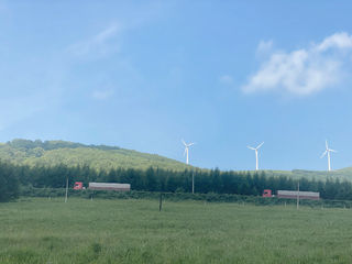 我居然坝上草原,发现宫崎骏同款梦幻夏季之旅