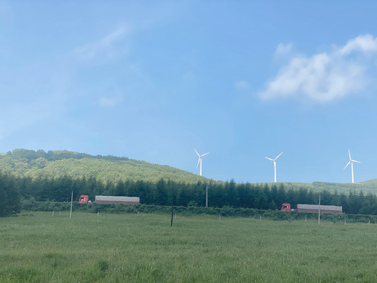 我居然坝上草原，发现宫崎骏同款梦幻夏季之旅