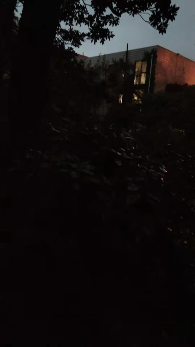 漕溪公园旅行图片 3