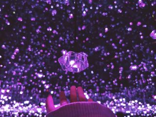 落叶知秋 微风徐来 所有美好不期而遇