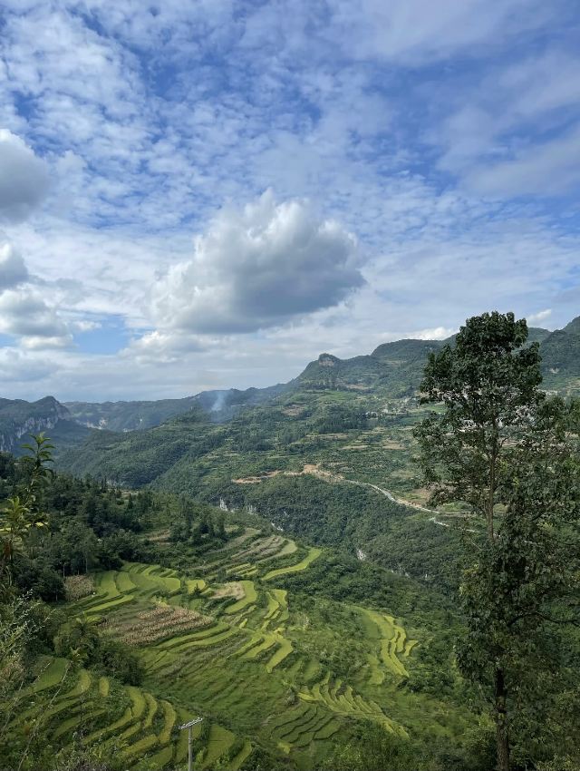 羊皮洞瀑布(不对外开放)旅行图片 15