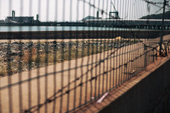 嵊泗本岛/黄龙岛游记图片] 嵊泗：3天跟团游，阳光猛烈的基湖沙滩