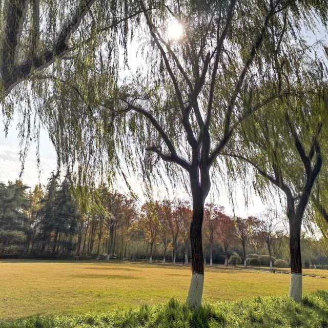 江浦公园旅行图片 2