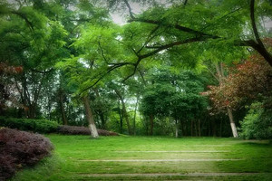 熊本县游记图文-走在田美河边的小路上