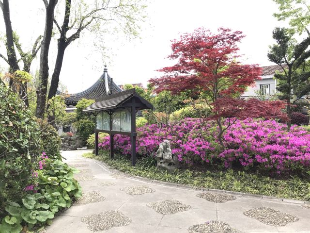 古藤园旅行图片 6