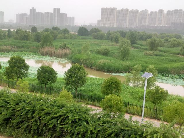 灞渭生态滩区旅行图片 7