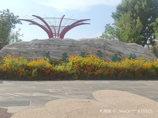莲花葡萄小镇