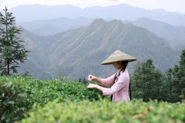 安化云台山风景区——我心底的桃花源
