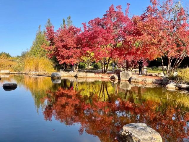 大望京公园旅行图片 3