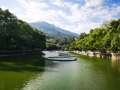 罗浮山度假区游记图片] 再登罗浮山