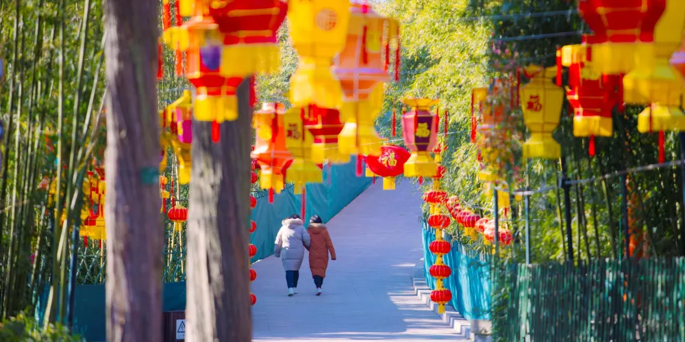 永安旅遊