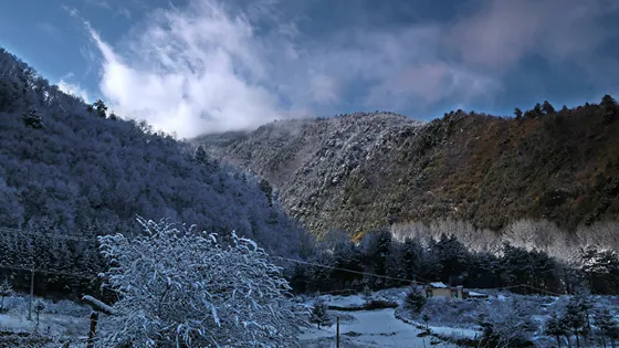 四川膽扎木溝