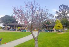 Monterey Park Historical Museum景点图片