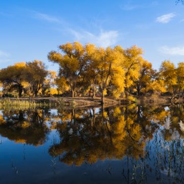 新疆南疆12日11晚私家团