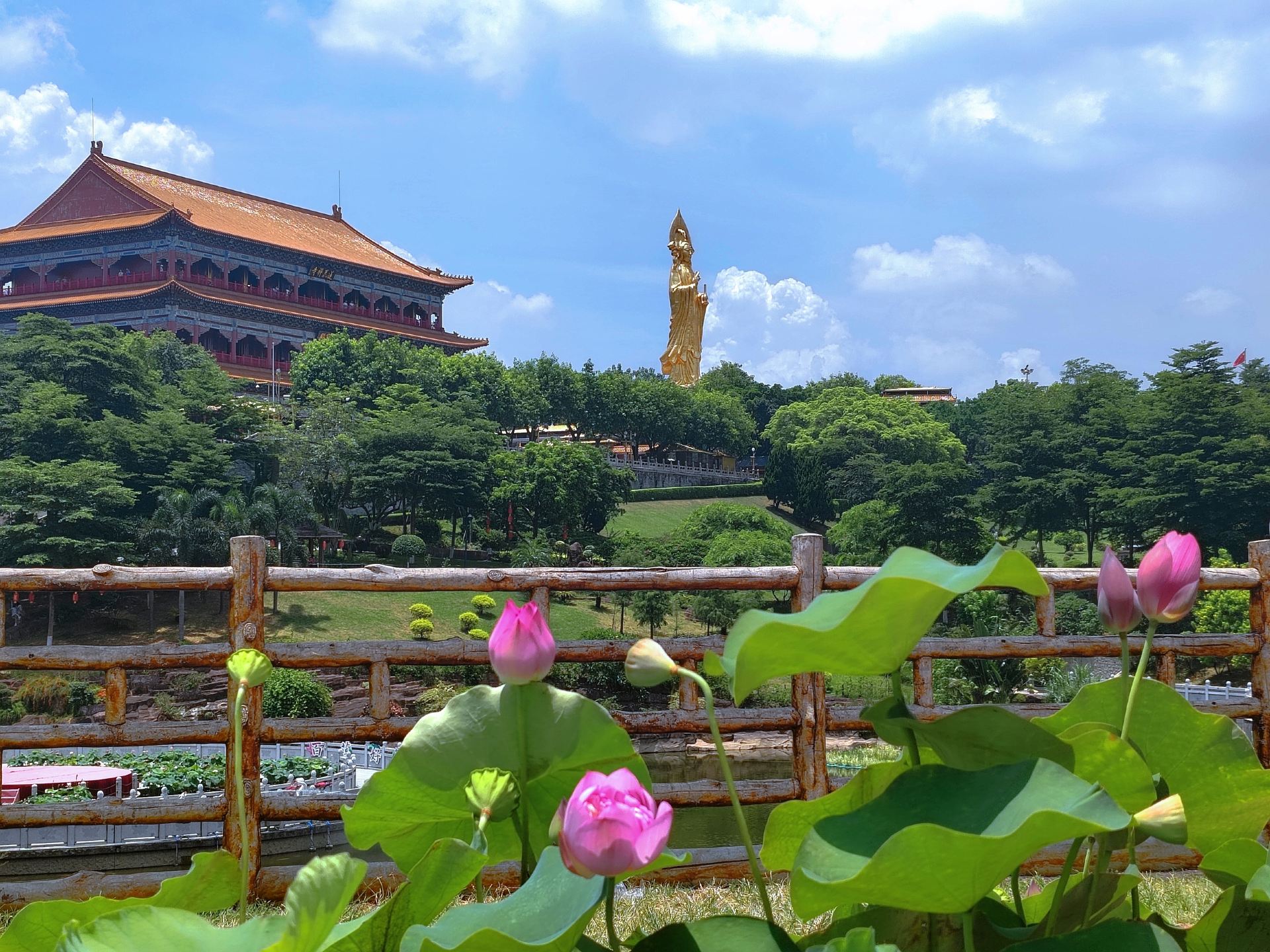 莲花山景点图片 5