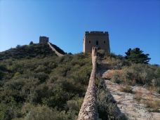 乌龙沟长城-涞源-大松树叶子