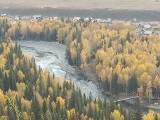 白桦林-布尔津-wbclawyer