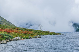 情歌康定,浪漫木格措