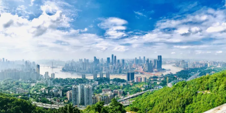 南山一棵樹觀景台