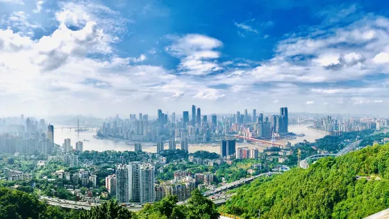 南山一棵樹觀景台