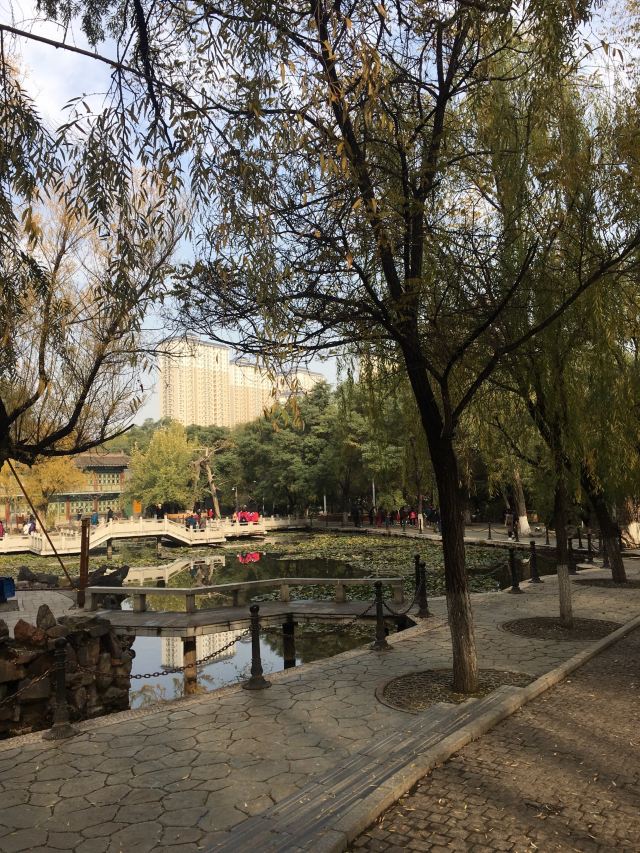 五泉山公园旅行图片 2