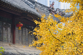 2020最新成都五天四晚旅游攻略