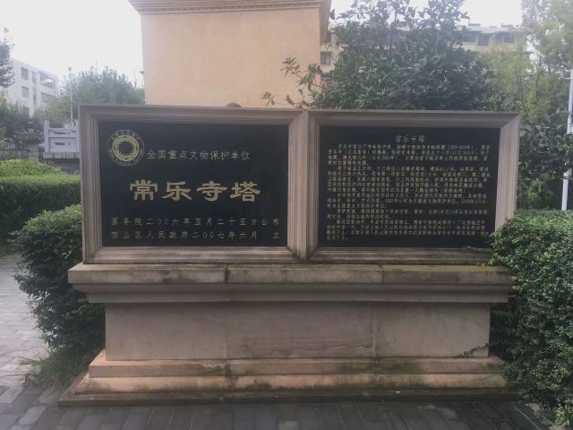 东寺塔茶花园旅行图片 1