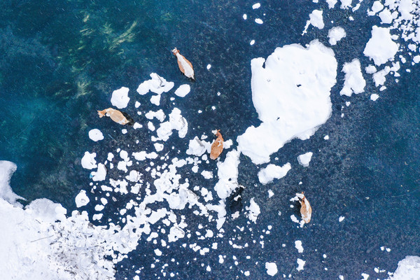 梦幻之旅——我的冬日童话“东方小瑞士”