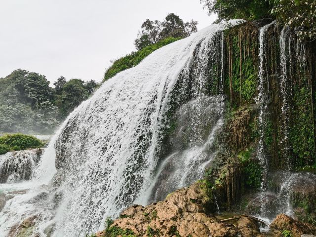 老木棉·紫园景区旅行图片 2