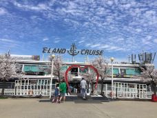 汝矣岛汉江公园-首尔-檀Z游