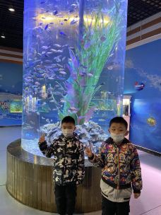 郑州市动物园-郑州-珊瑚岛莫哩别墅酒店