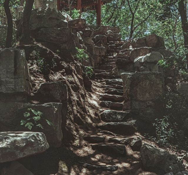 青城公园旅行图片 1
