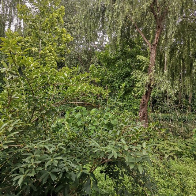 清水音公园旅行图片 2