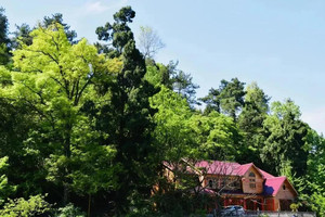 贵阳东站/新添寨/乌当地区游记图文-乡游黔中·乌当区 拐吉村 │ 满目金黄，银杏村私藏了贵阳最美的秋天