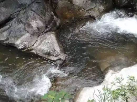 嶅山溪谷生态旅游区