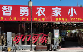 马志勇农家小院