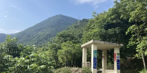觀音岩