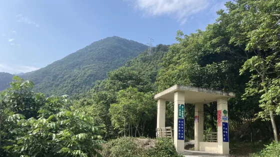 觀音岩