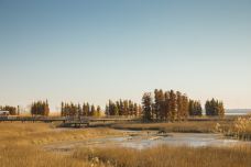 双山岛湿地公园-张家港