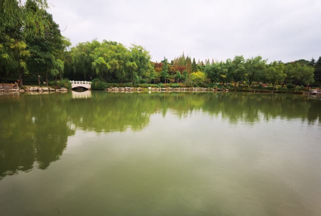 金桥公园旅行图片 1