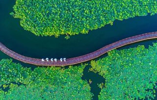 入选“国际湿地城市”!文脉悠长的济宁竟还有这样一面!