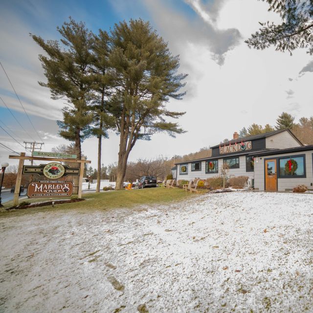 Black Dog Bar and Grille餐厅图片