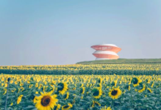 光明欢乐田园景点图片