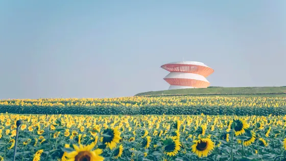 光明歡樂田園