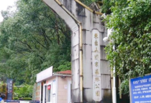 东台山国家森林公园景点图片