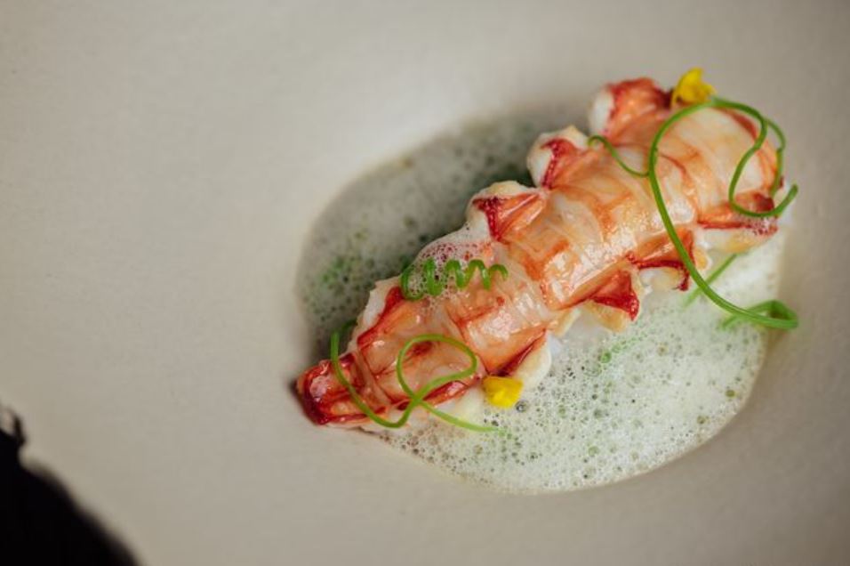 AVANT(创意园深南电路大厦店)